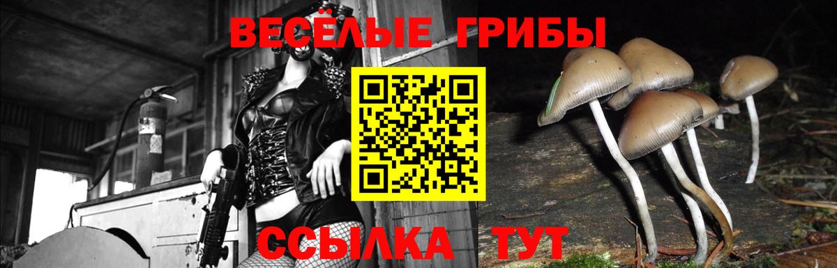 Галлюциногенные грибы Cubensis  Вход с VPN  Зеленодольск 